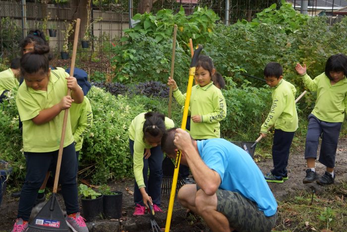 Gardening Athol Road Ps 2