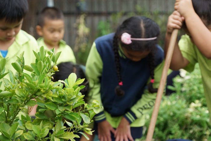 Gardening Athol Road Ps